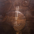 Eyvind Kang And Jessika Kenney - Reverse Tree [VINYL]