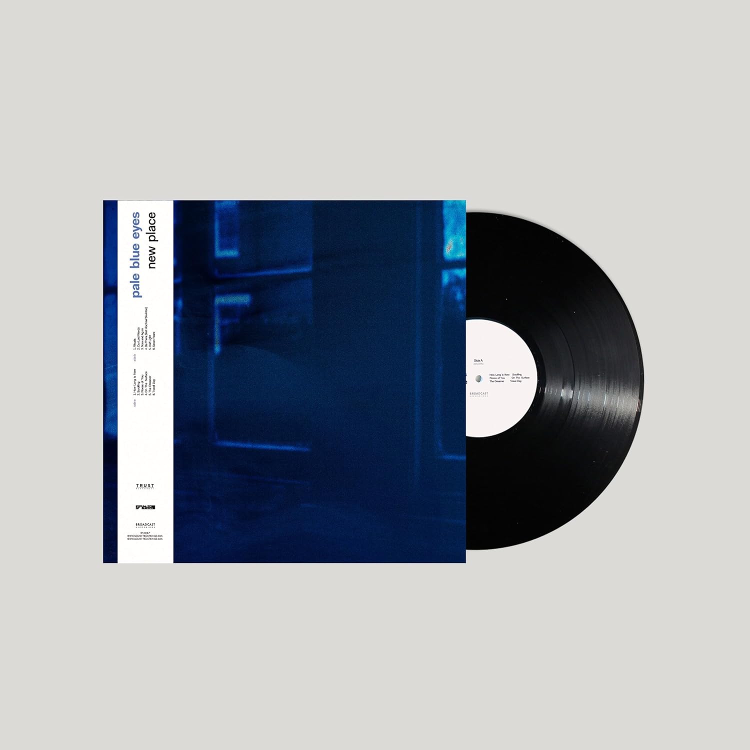 Pale Blue Eyes - New Place [VINYL]