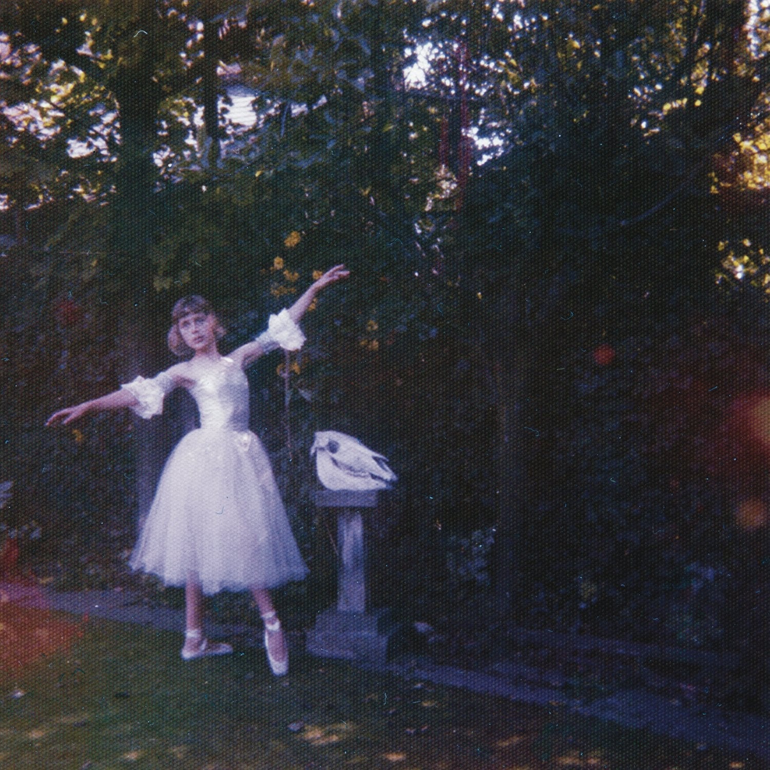 Wolf Alice ‎– Visions Of A Life