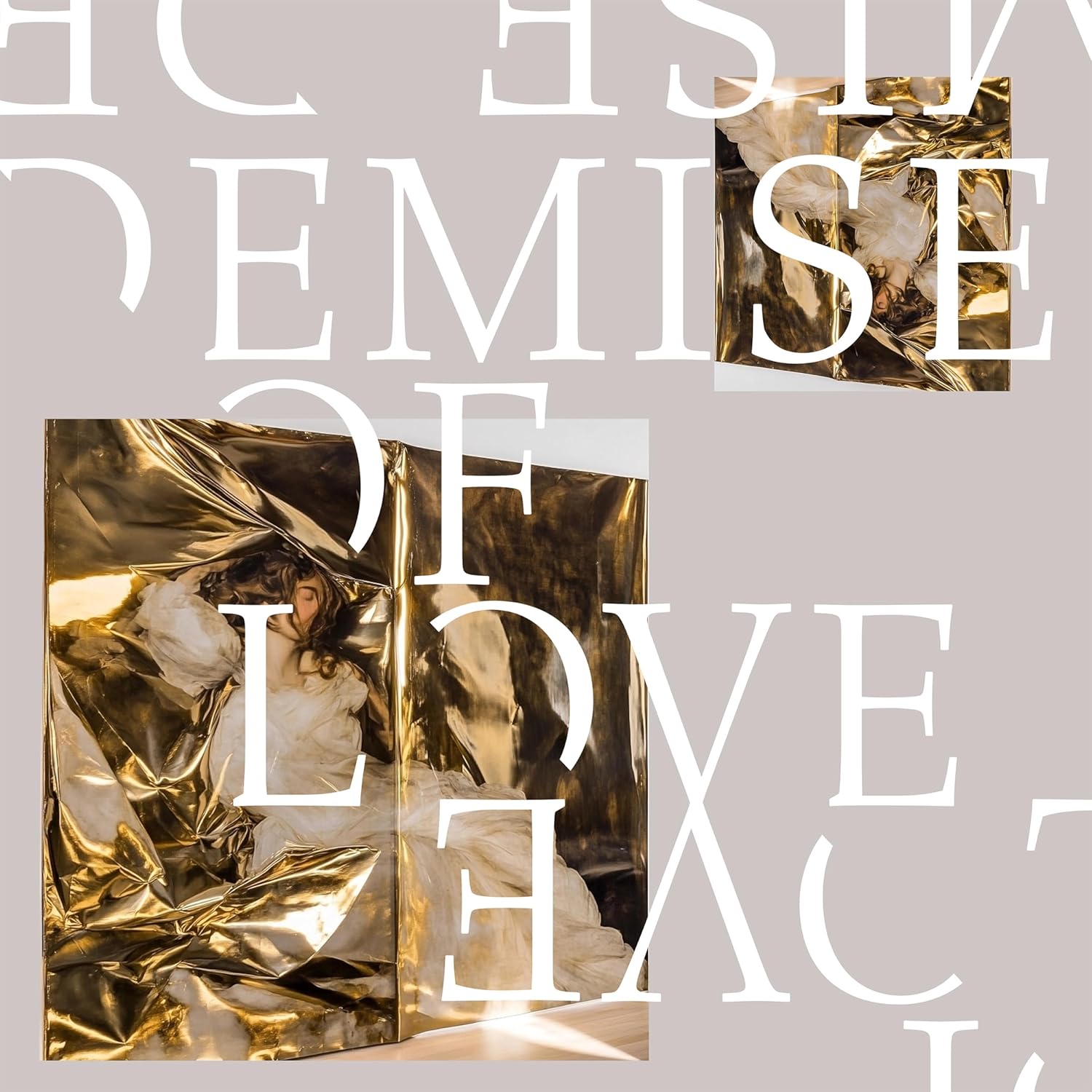 Demise Of Love - Demise Of Love [VINYL]