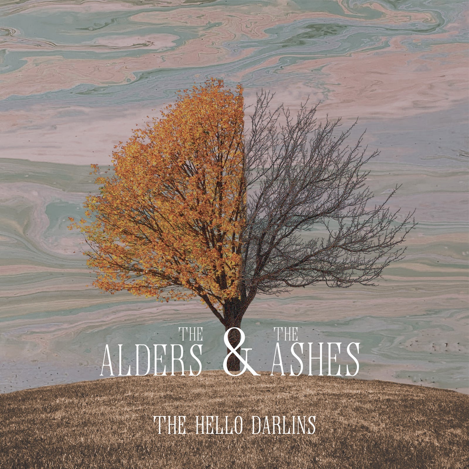 Hello Darlins - The Alders & The Ashes [VINYL]