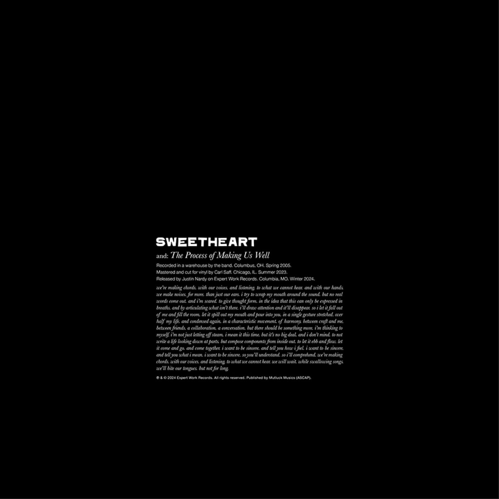 Sweetheart - The Process Of Making Us Well [VINYL]