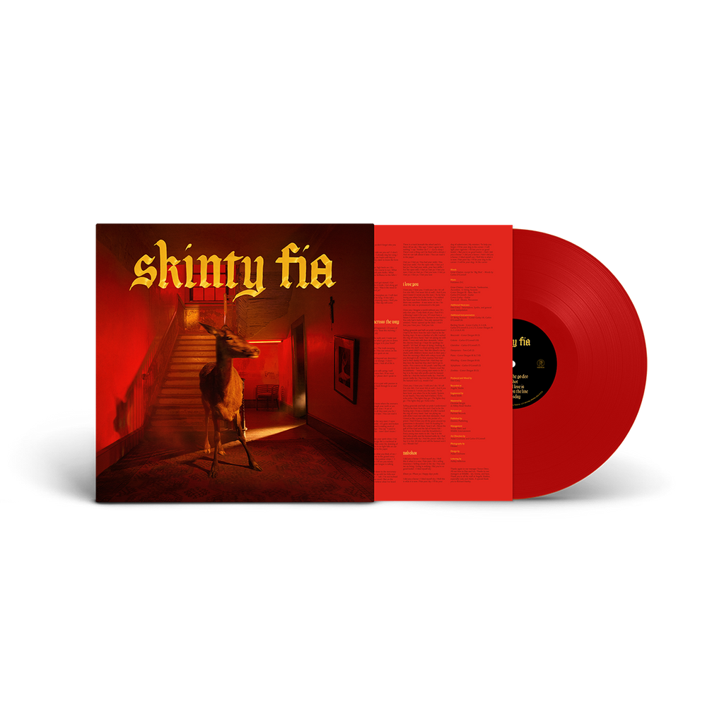 Fontaines D.C. ‎– Skinty Fia