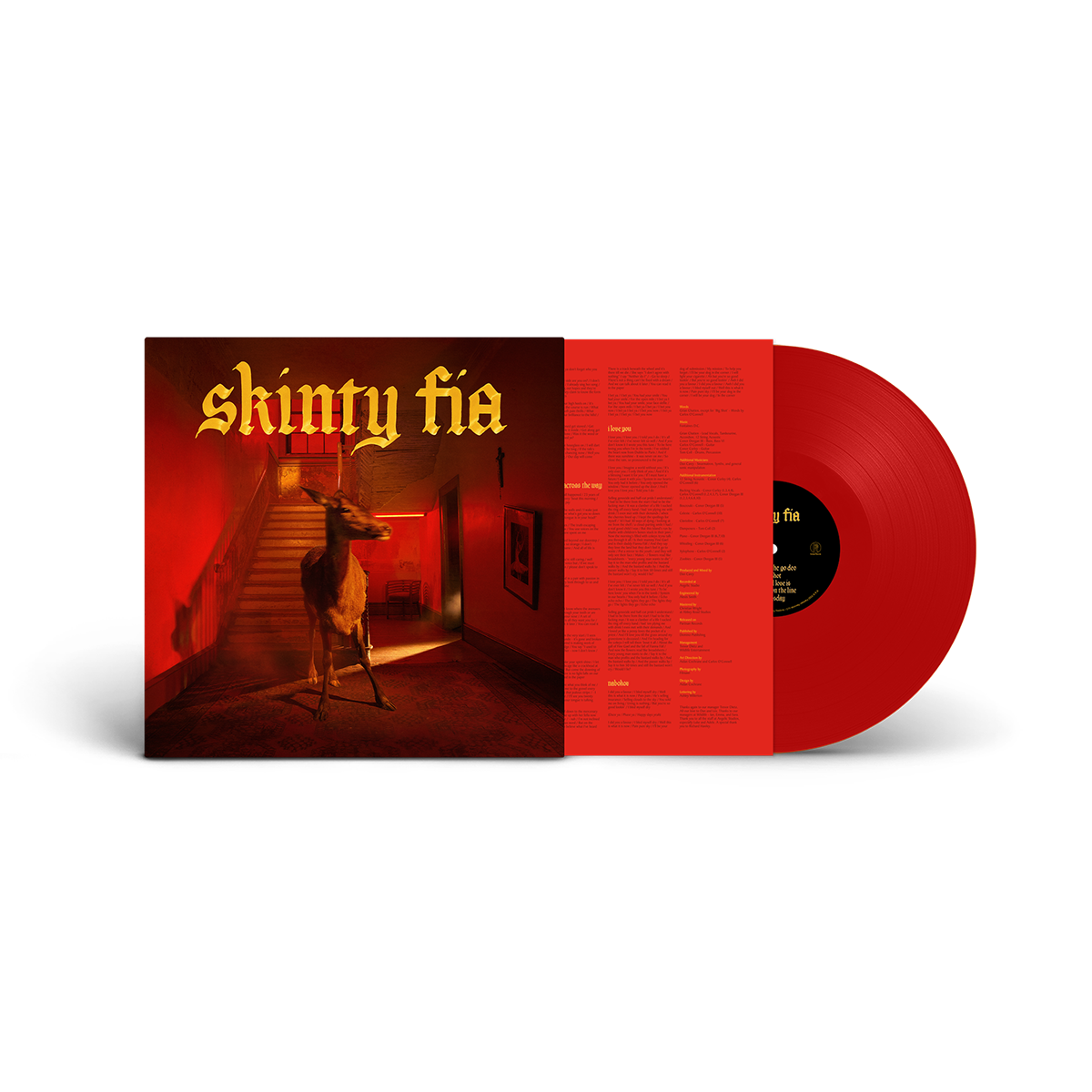 Fontaines D.C. ‎– Skinty Fia