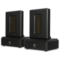 DST Dual Firing AMT Super Tweeter Pair