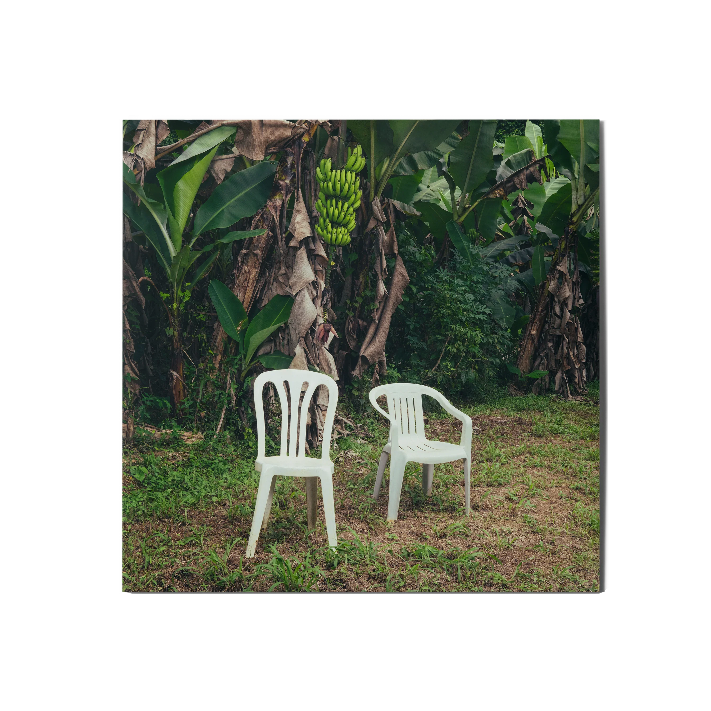 Bad Bunny - Debi Tirar Mas Fotos