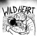 Current Joys - Wild Heart