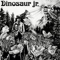 Dinosaur Jr. - Dinosaur Jr.