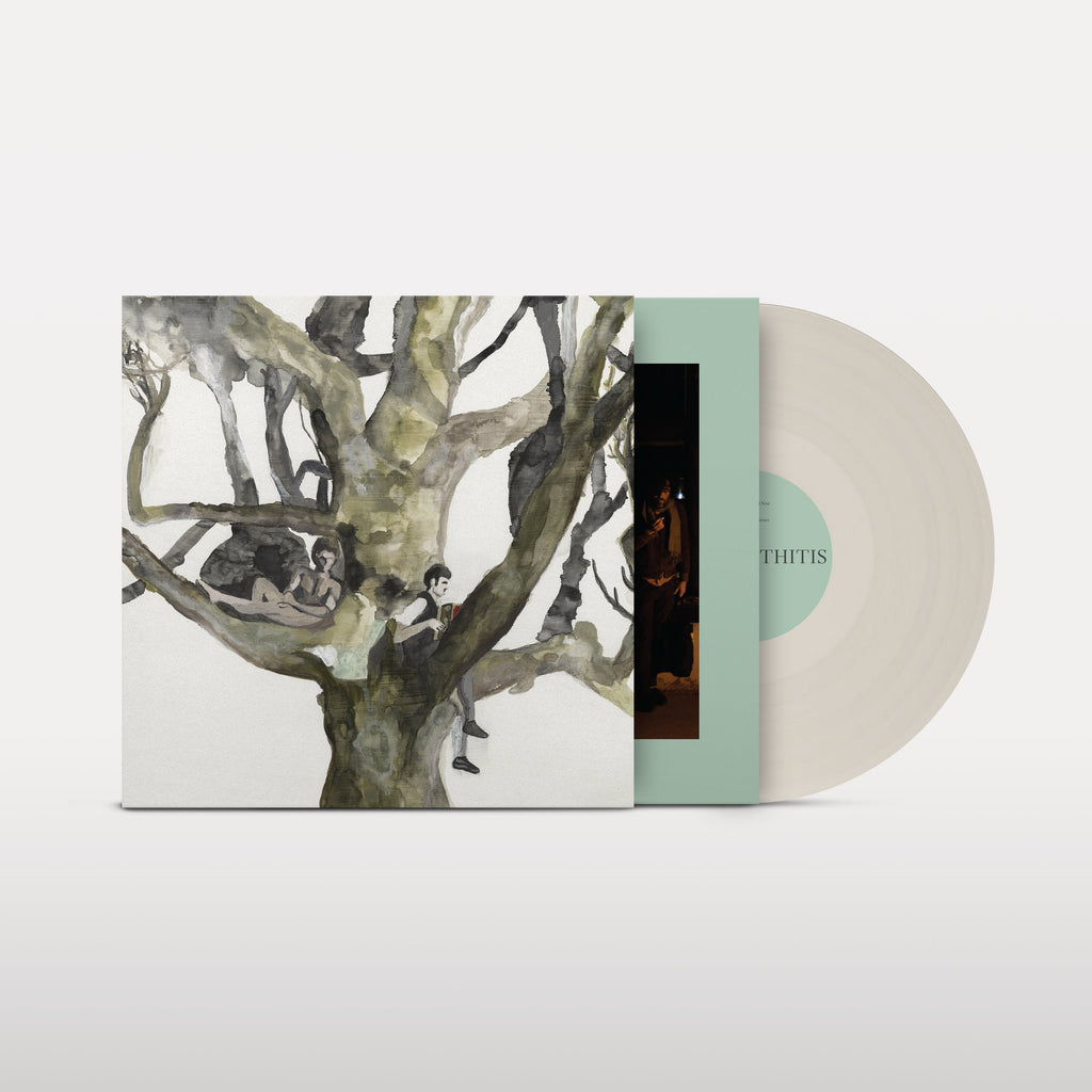 Destroyer - Labyrinthitis