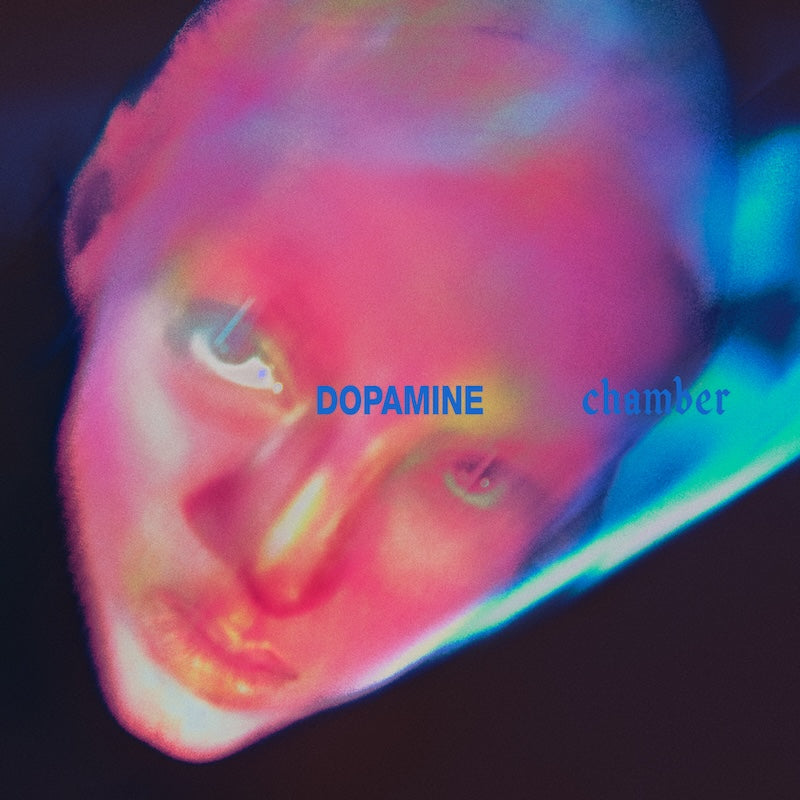 Fontaines DC - Dopamine Chamber