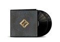 Foo Fighters - Concrete And Gold