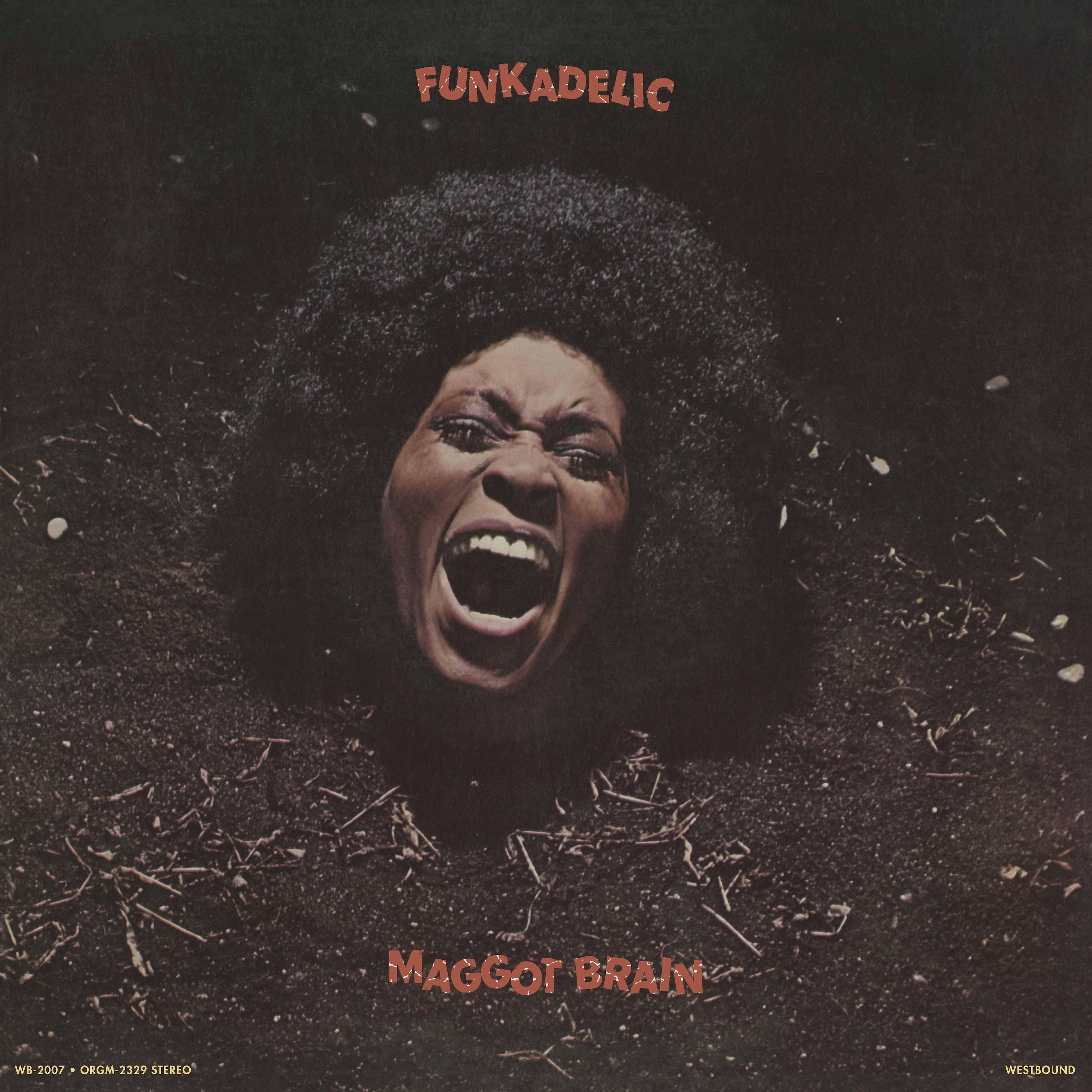 Funkadelic - Maggot Brain