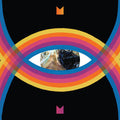 Modest Mouse - Night On The Sun