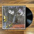 Alex Malheiros - Atlantic Forest