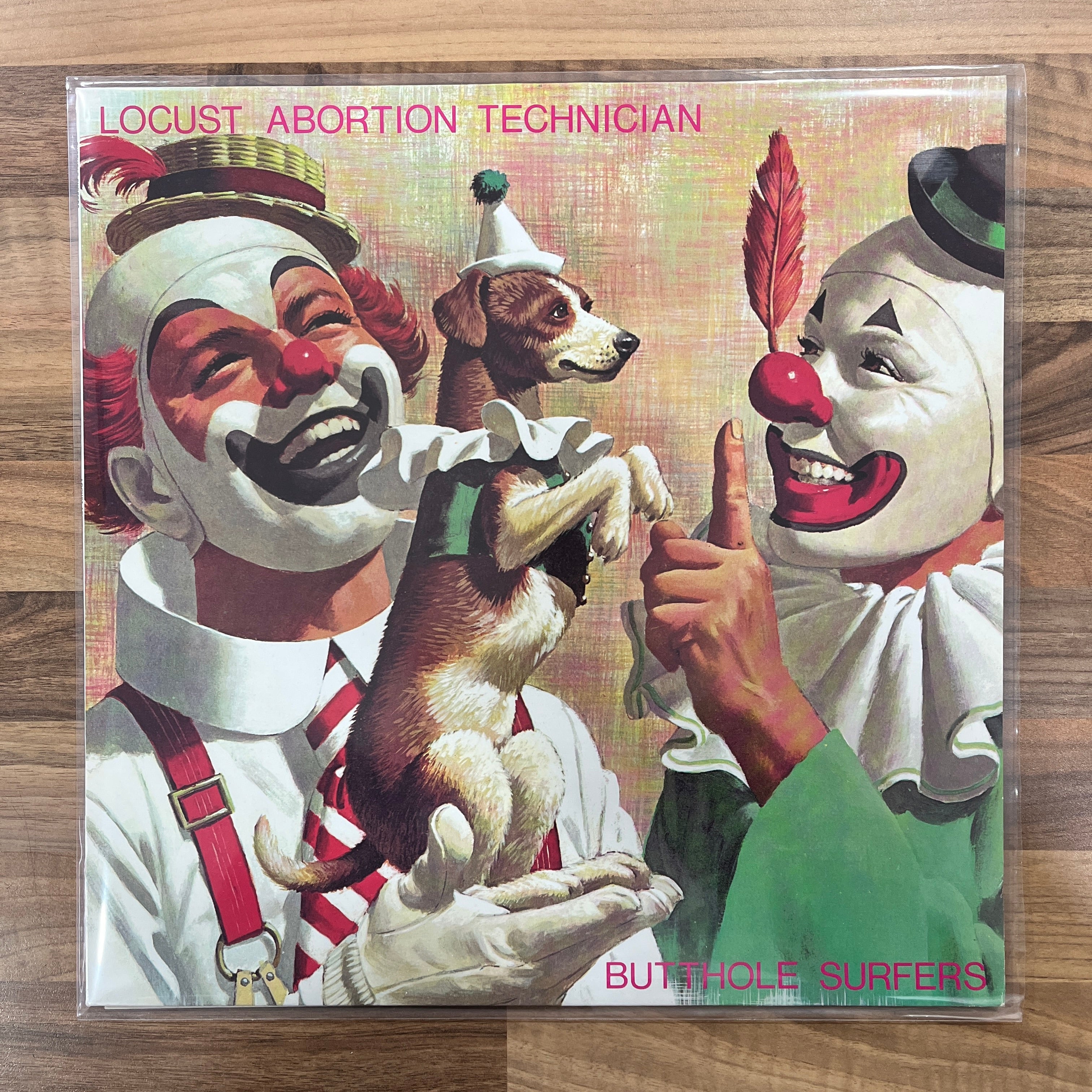 Butthole Surfers ‎– Locust Abortion Technician