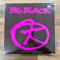 Big Black – Tonight We Walked With Giants