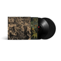 King Gizzard & The Lizard Wizard - Murder Of The Universe