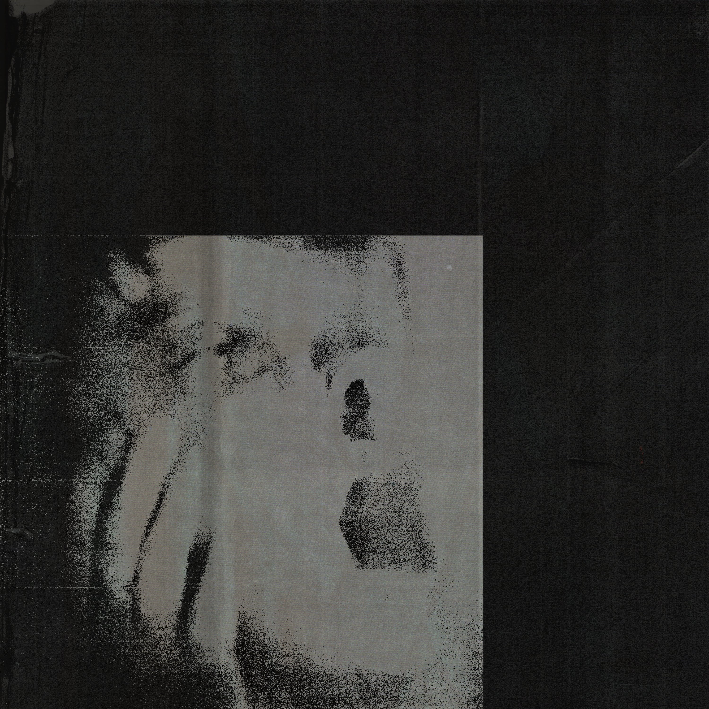 Ditz - Never Exhale