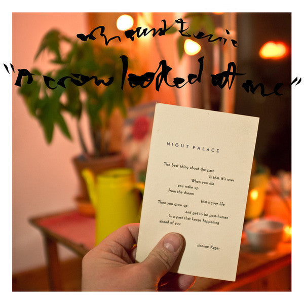 Mount Eerie - Crow Looked At Me