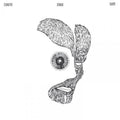 Syreregn - Cogito Ergo Sum