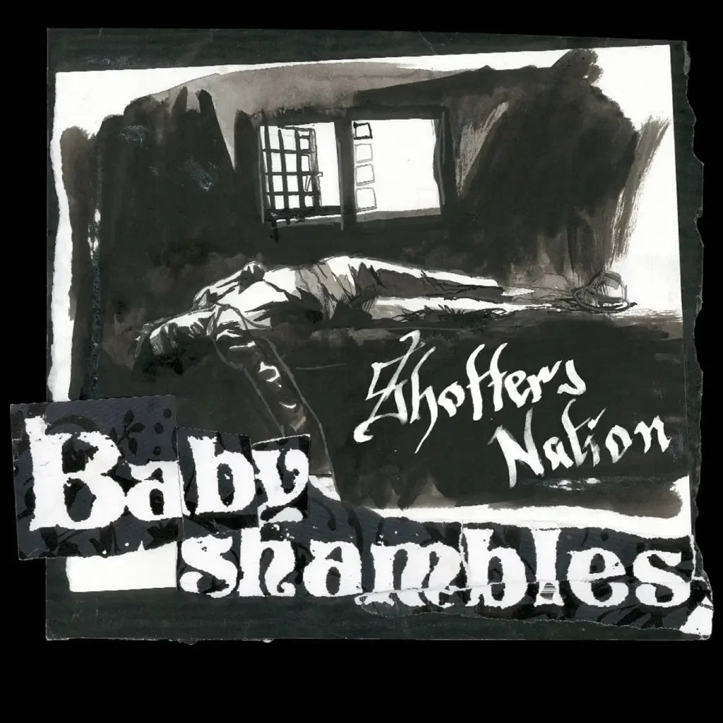Babyshambles - Shotters Nation