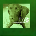 ibens - Skylder Det Hele Væk