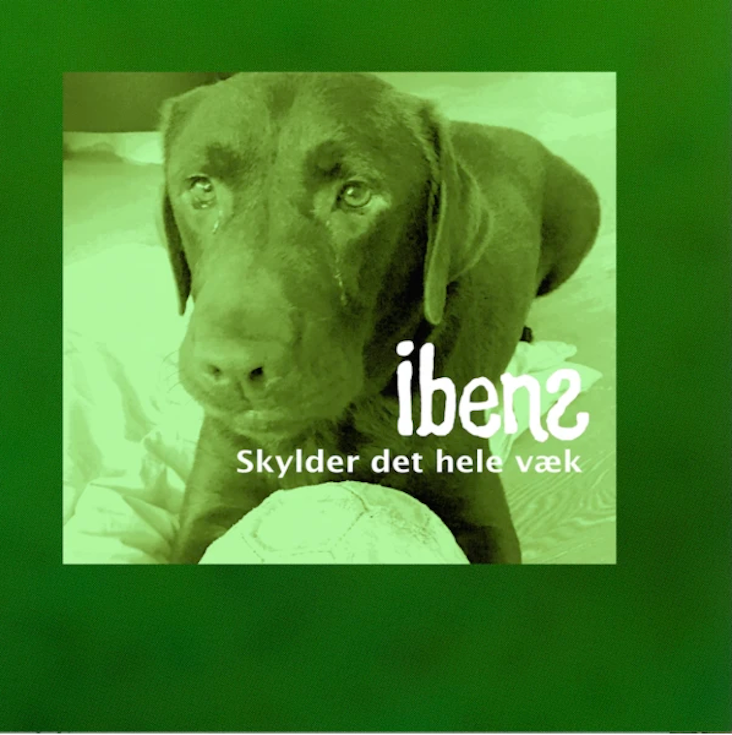 iibens - Skylder Det Hele Væk - Bundel