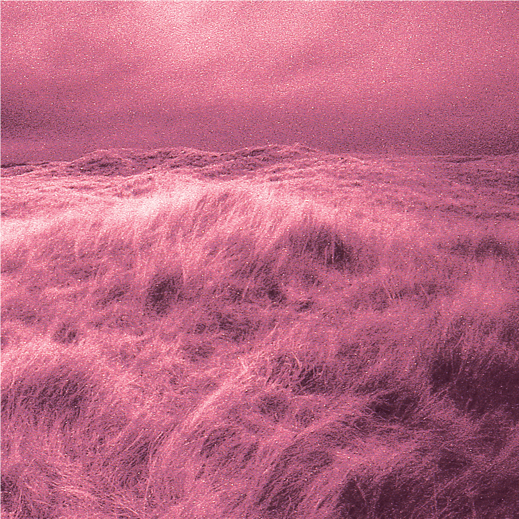 BAIT - Sea Change
