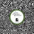 Ana Frango Eletrico - A Sua Diversao / Nao Tem Nada [VINYL]