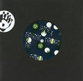Antonio Adolfo / Erasmo Carlos - Gloria Glorinha / Conqueiro Verde [7"] [VINYL]