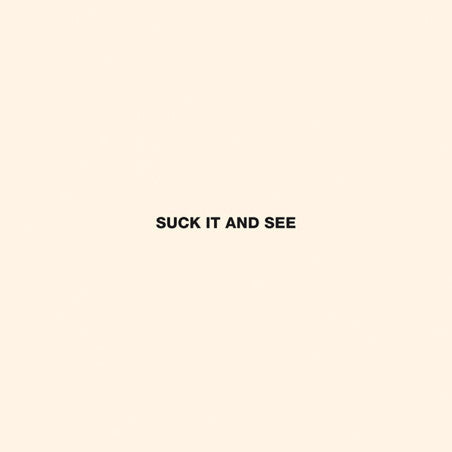 Arctic Monkeys - Suck It And See