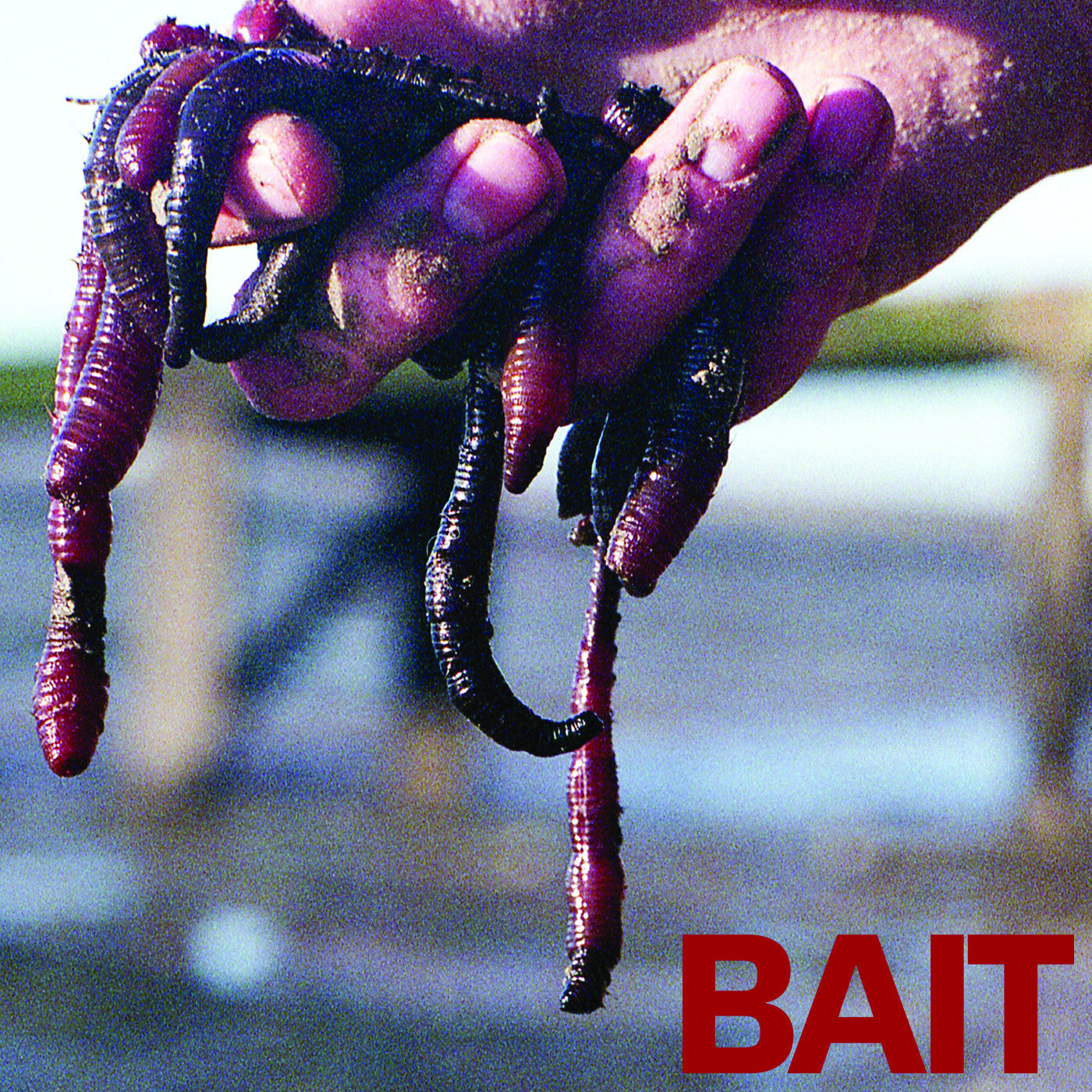 Bait - Bait