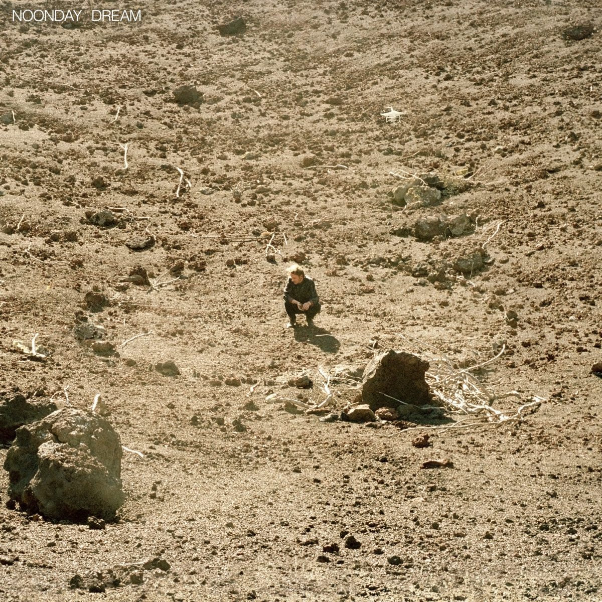 Ben Howard - Noonday Dream