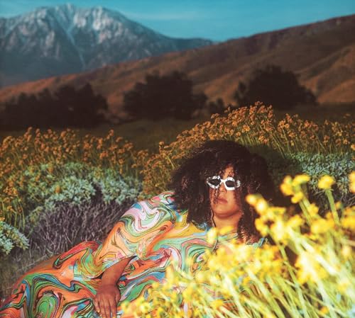 Brittany Howard - What Now [VINYL]