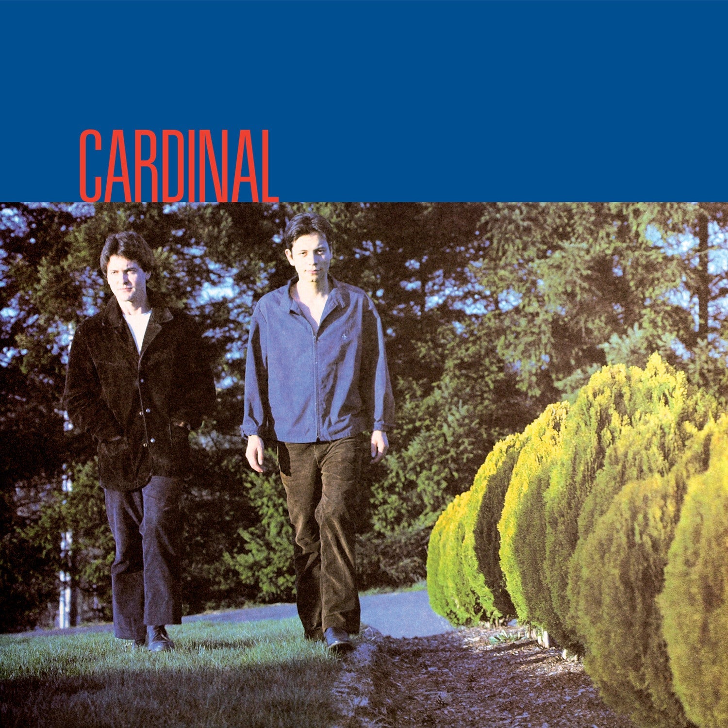 Cardinal - Cardinal (RSD)