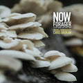Chris Brokaw - Now Forager