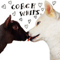 Coachwhips - Bangers vs Fuckers
