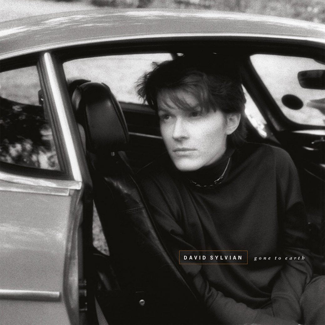 David Sylvian - Gone To Earth