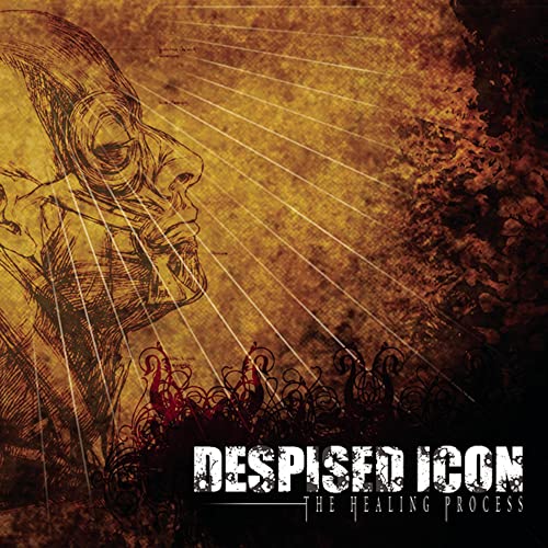 Despised Icon - The Healing Process (Alternate Mix - Re-Issue + Bonus 2022) [VINYL]