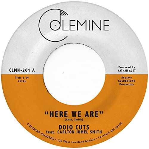 Dojo Cuts - Here We Are [VINYL]