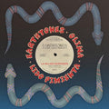 Earthtones - La Mujer Serpiente / Selam [VINYL]