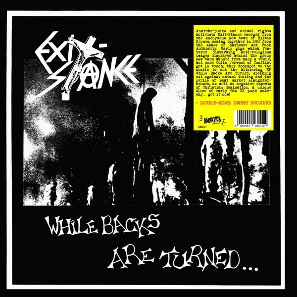 Various - While Backs Are Turned... [VINYL]