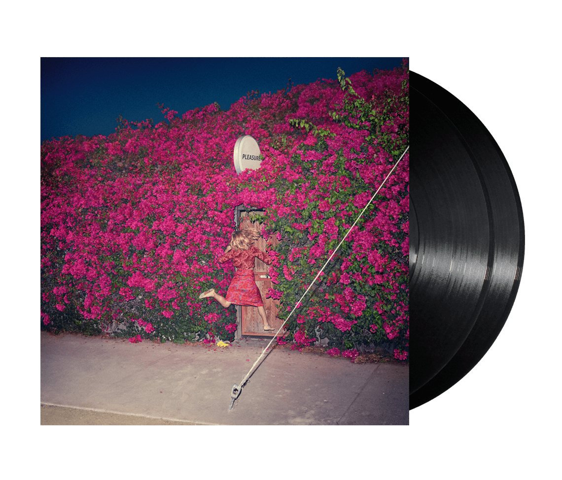 Feist - Pleasure