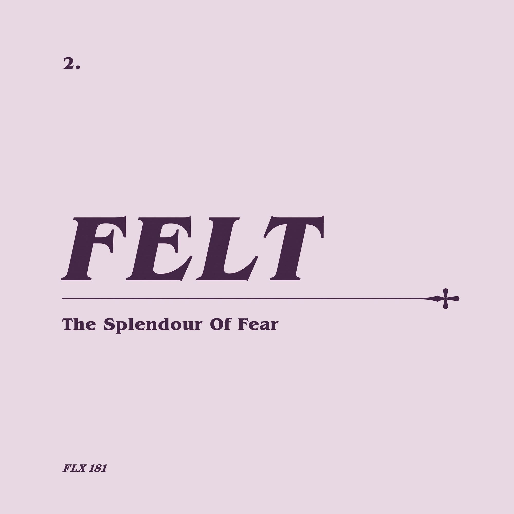 Felt - The Splendour Of Fear