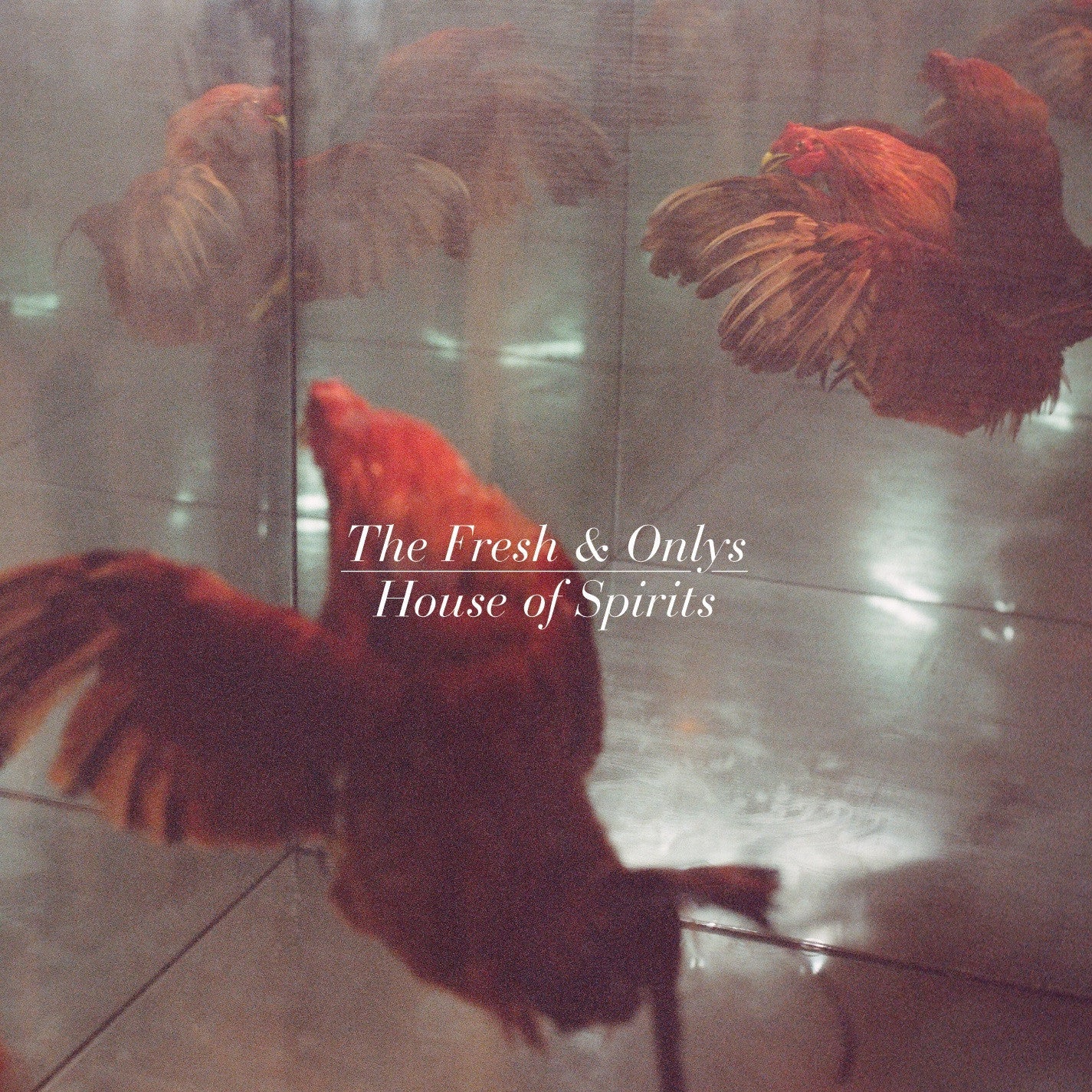 Fresh & Onlys - House of Spirits