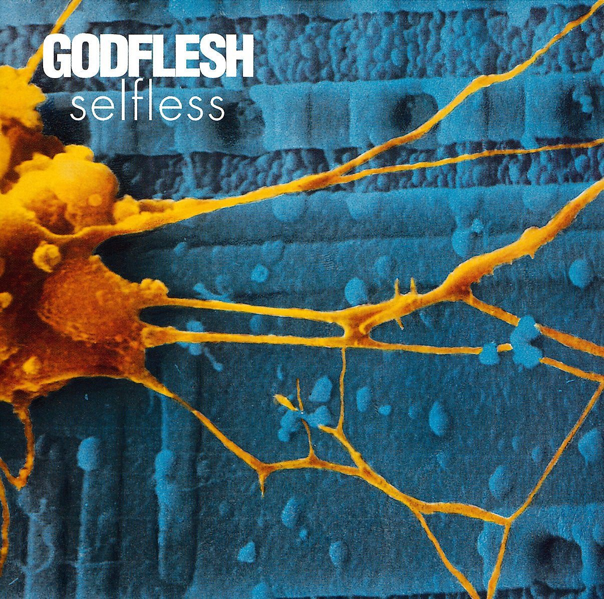 Godflesh - Selfless