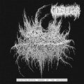 Gosudar - Eschatological Agony Of The Universe [us Edition Black Vinyl] [VINYL]