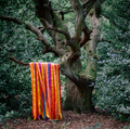 James Holden & The Animal Spirits - The Animal Spirits