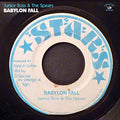 Junior Ross & The Spear - Babylon Fall [VINYL]