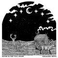 Kikagaku Moyo - The House In The Tall Grass